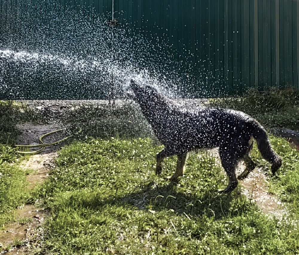 Photograph by Елена Алексеева