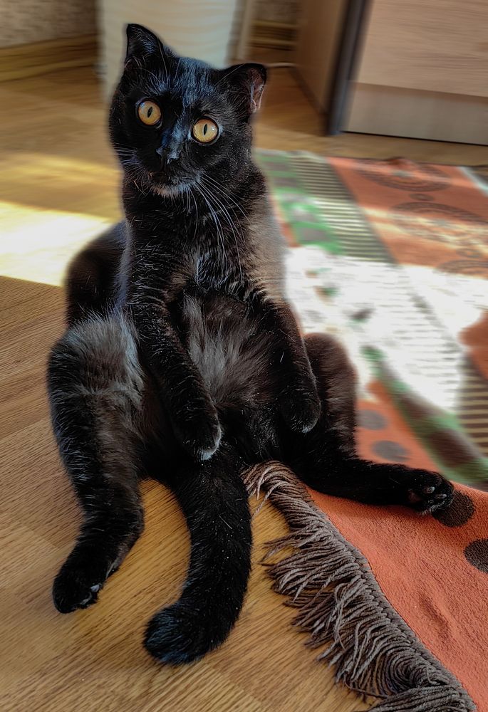 Photograph by Елена Алексеева