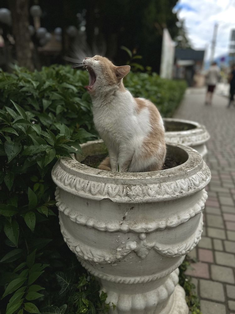 Photograph by Елена Посохина