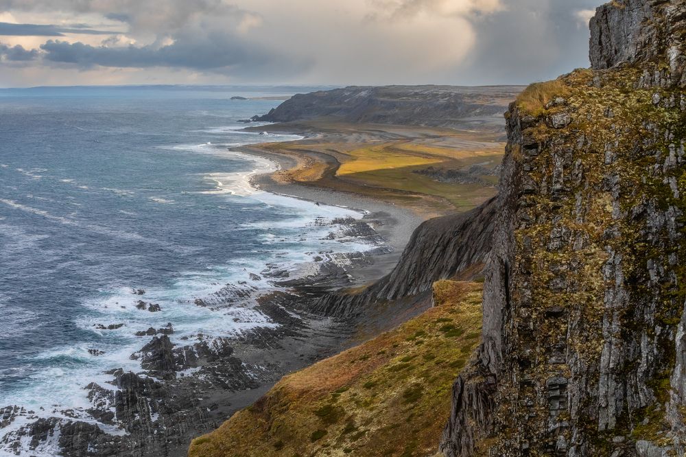 Фотография автора Александр Пашеничев