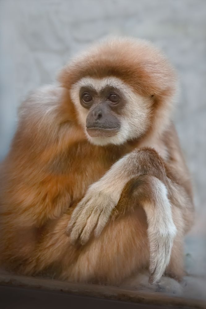 Фотография автора Svirin Vadim