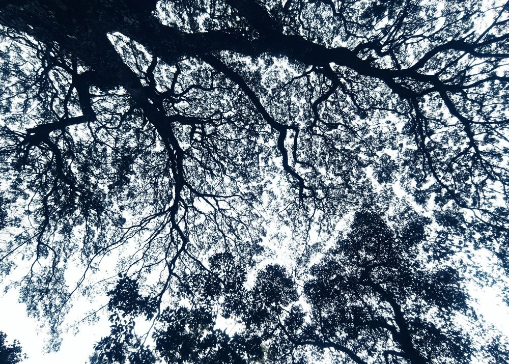Photograph by Shakeer Mohammed