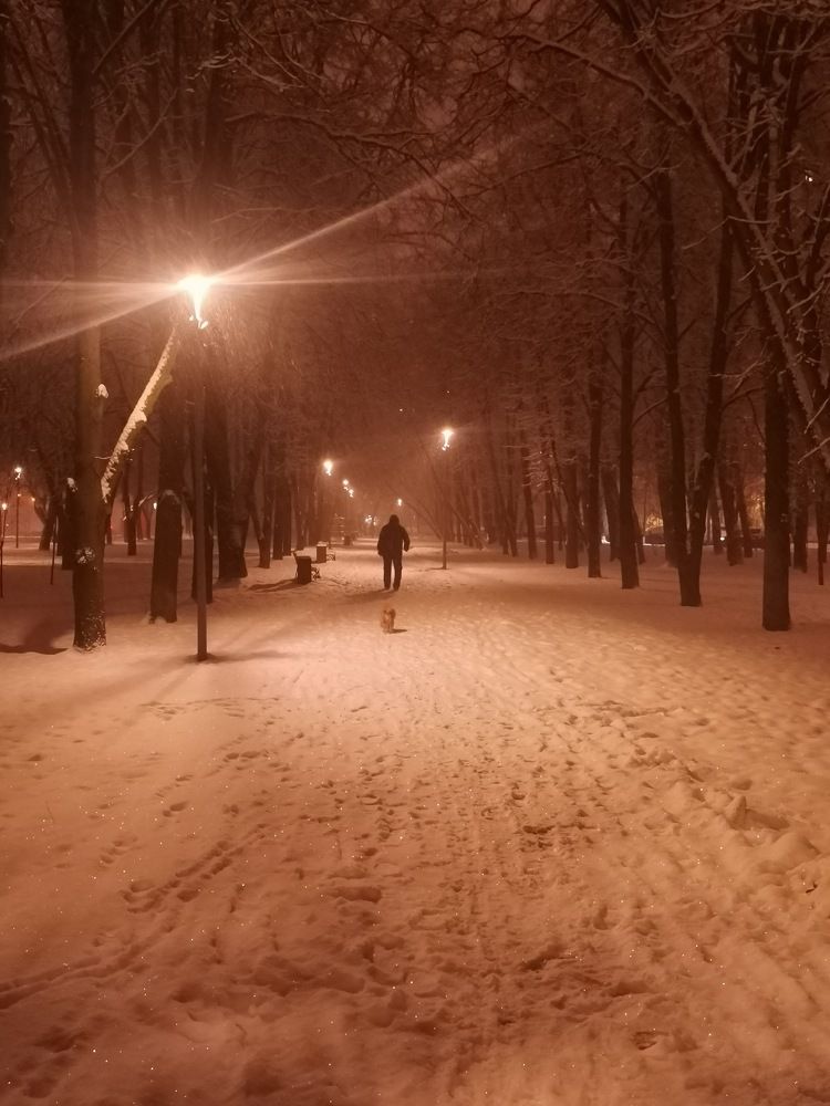 Photograph by Ирина Садовникова