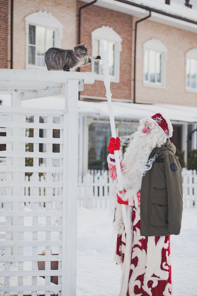 Photograph by Сергей ПЛАТОНОВ