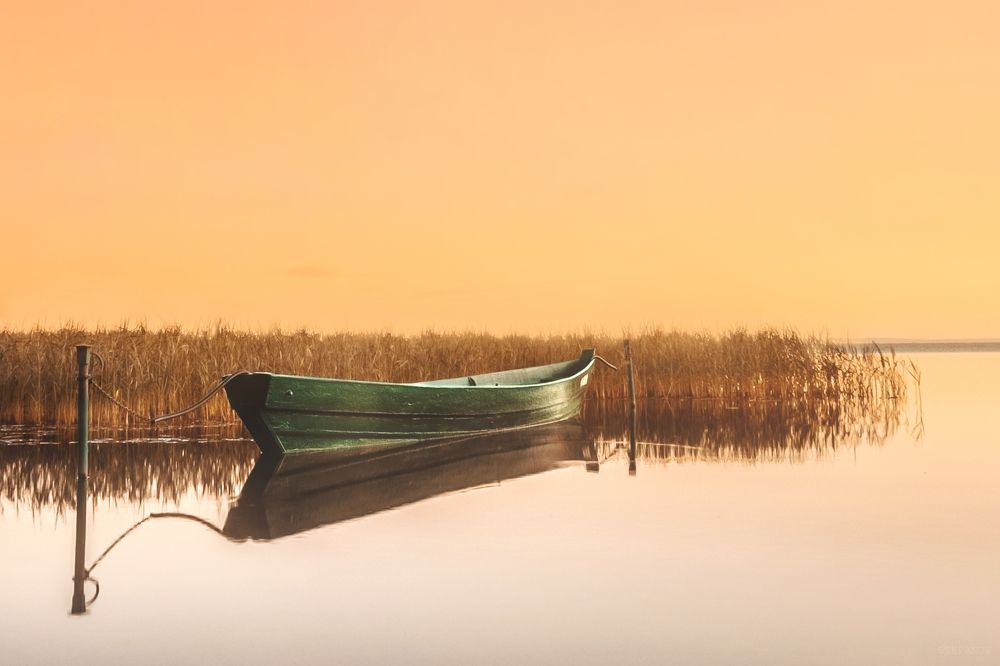 Photograph by Степанов Виктор