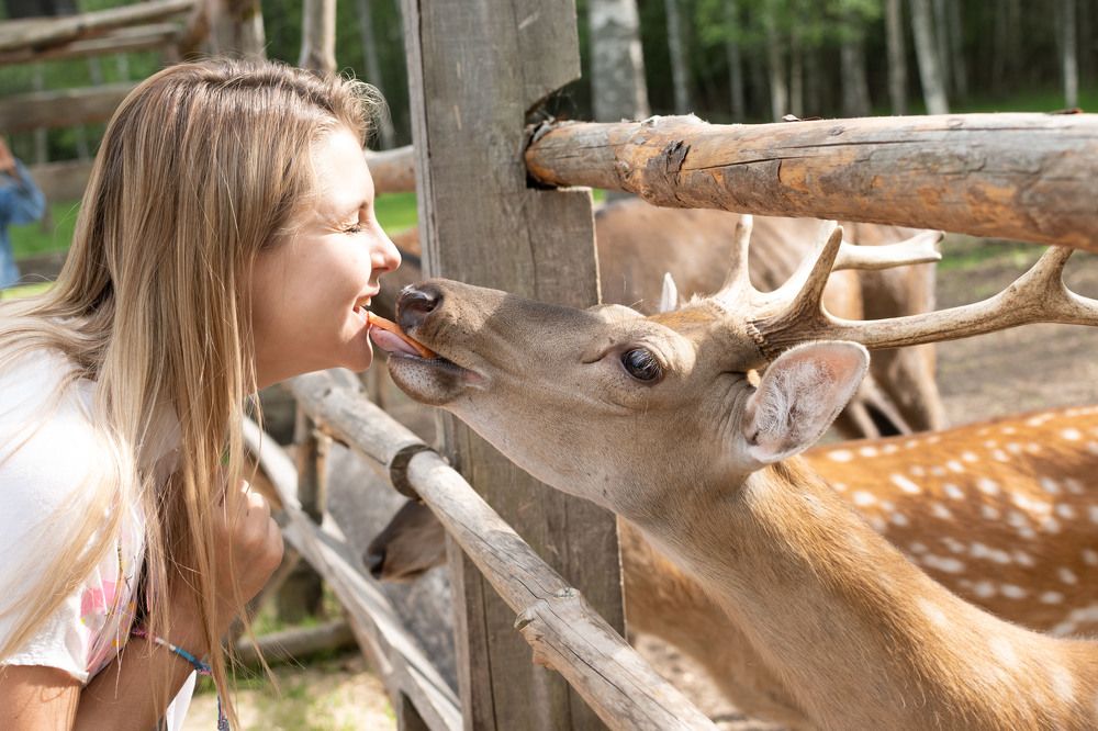 Фотография автора Анастасия Дементьева