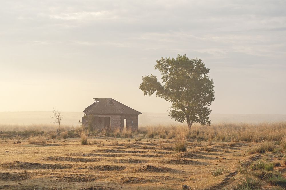 Photograph by Максим Тыщенко