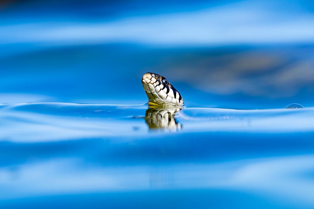 Photograph by Абросимов Александр