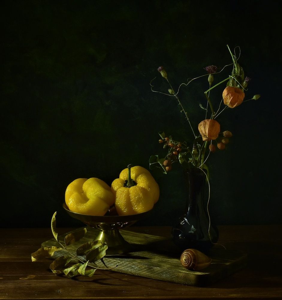 Фотография автора лилия беланова