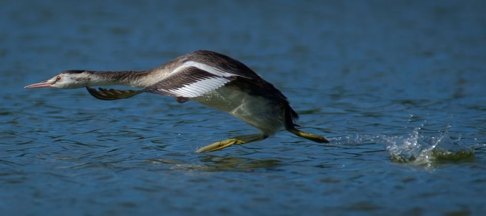 Photograph by Алексей Волжский