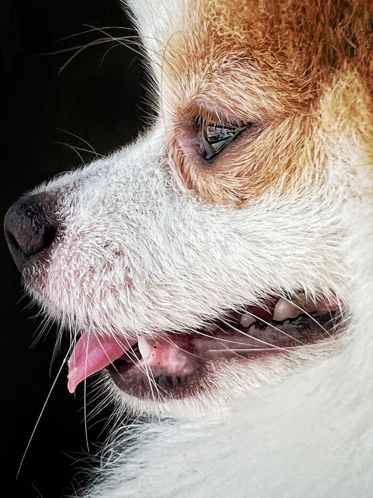 Photograph by amir ali navadeh shahla