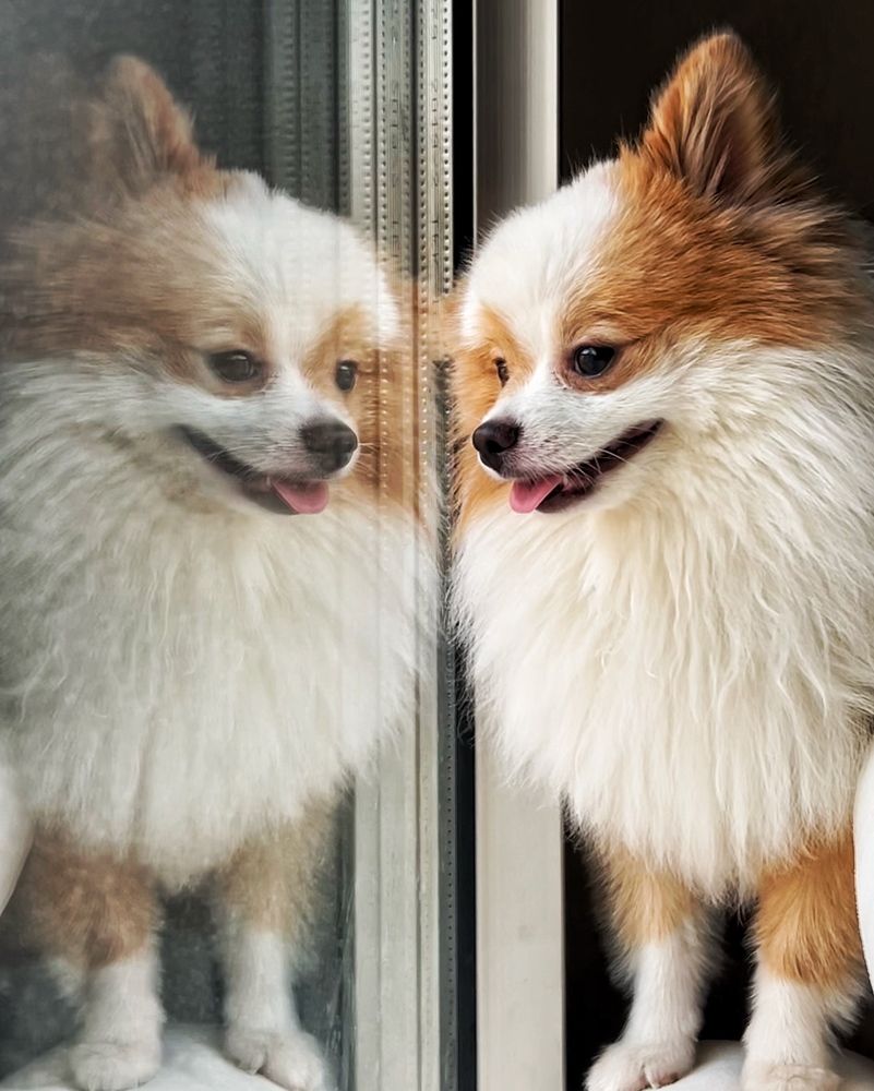 Photograph by amir ali navadeh shahla