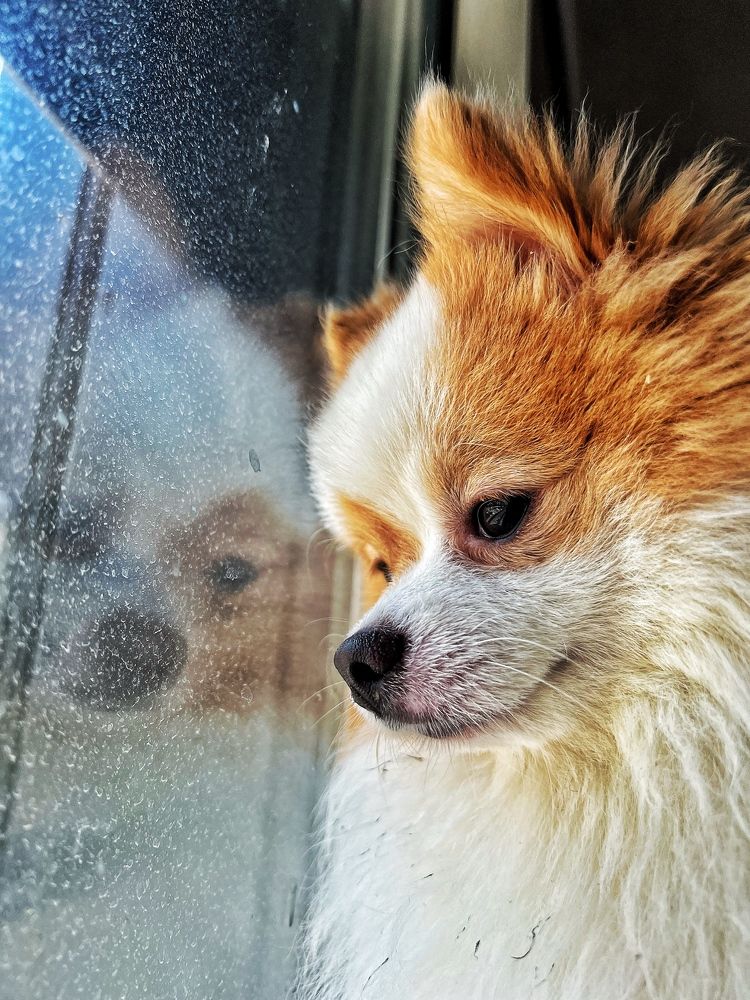 Photograph by amir ali navadeh shahla