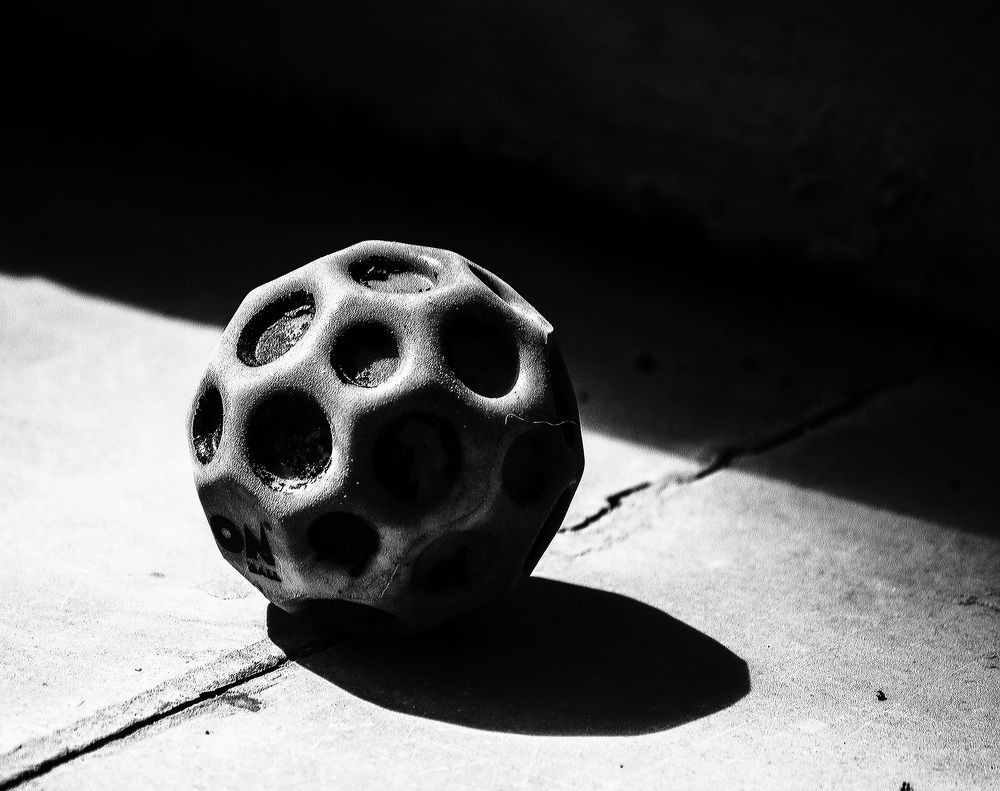 Photograph by Manish (Valmie) Joshi