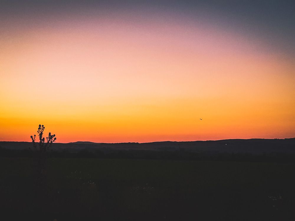 Photograph by Елена Безгинова