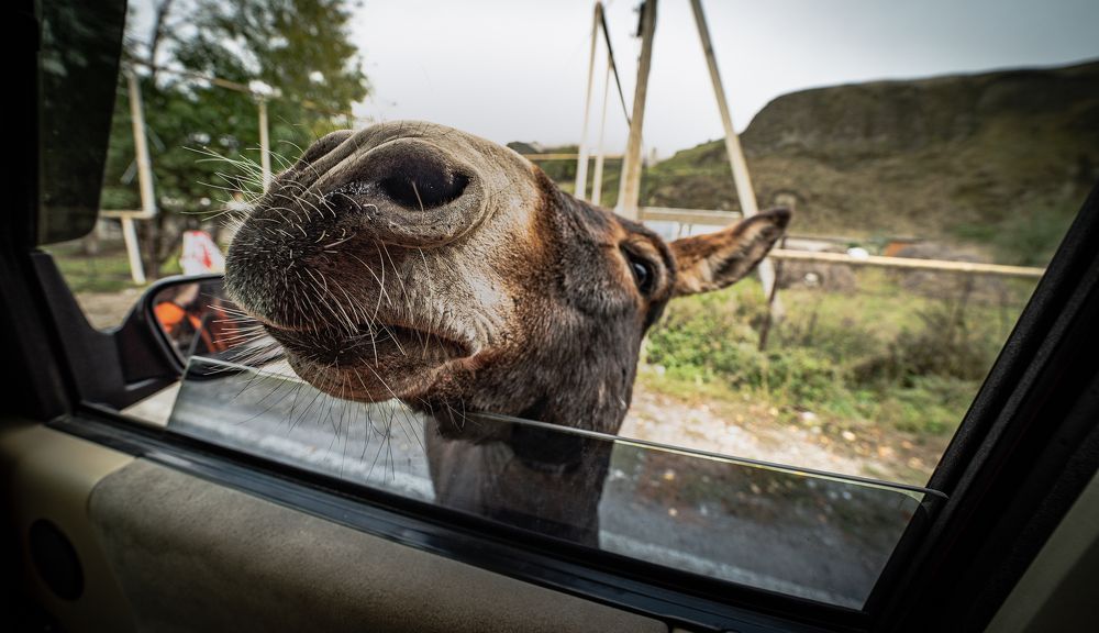 Photograph by Юрий Гаврилов