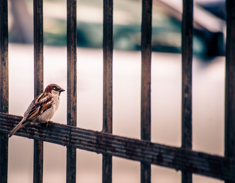 Photograph by Алексей Патрушев