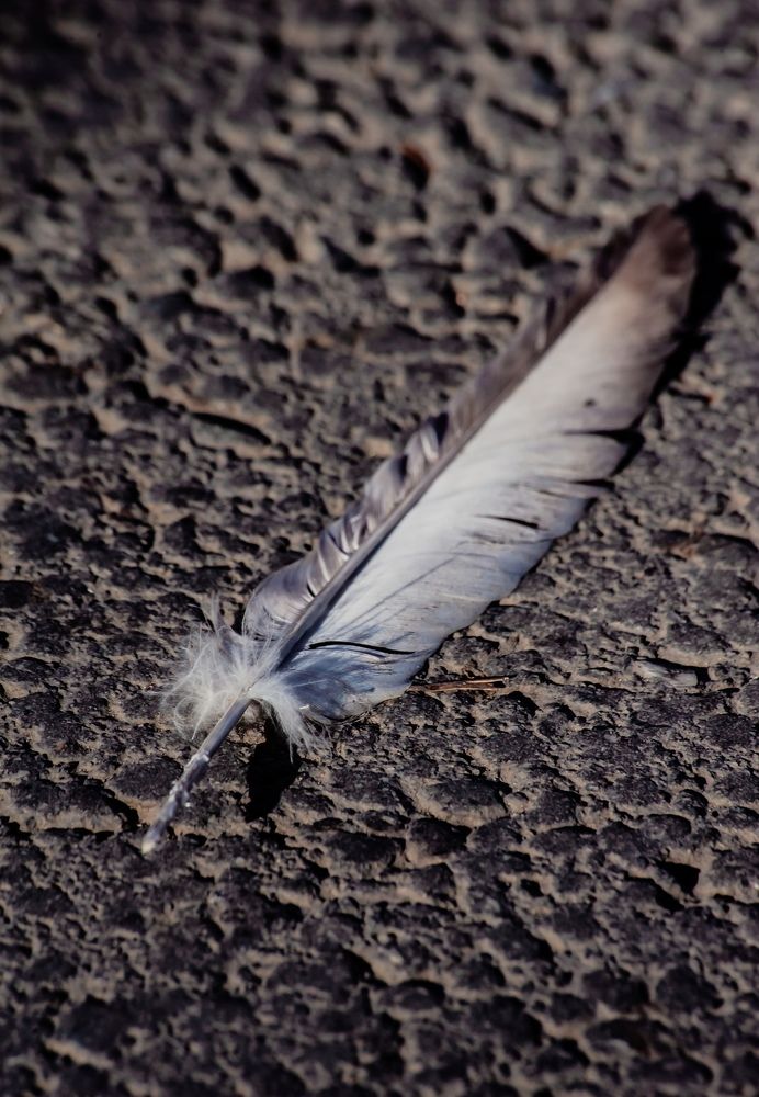 Photograph by Алексей Патрушев