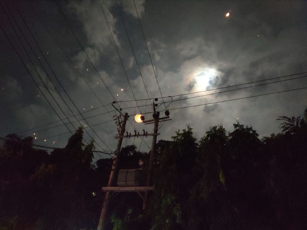 Photograph by Partha Barua