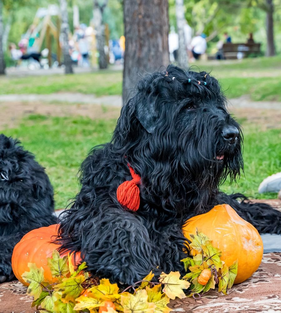 Photograph by Ольга Ченцова