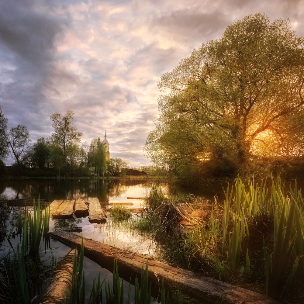 Photograph by Степанов Виктор