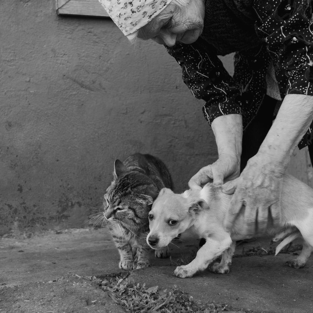 Photograph by Алла Ковалева