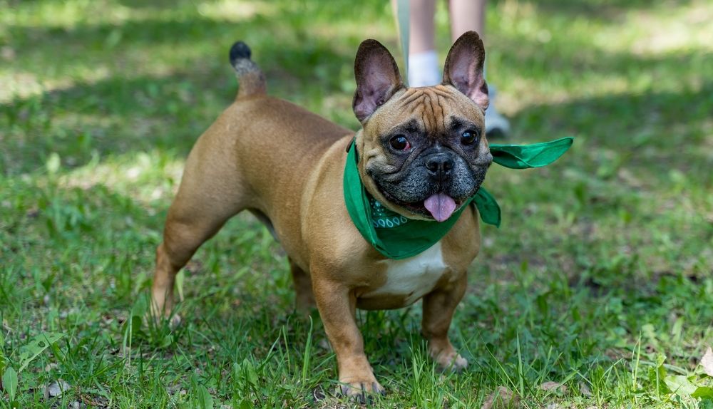 Photograph by Ольга Ченцова