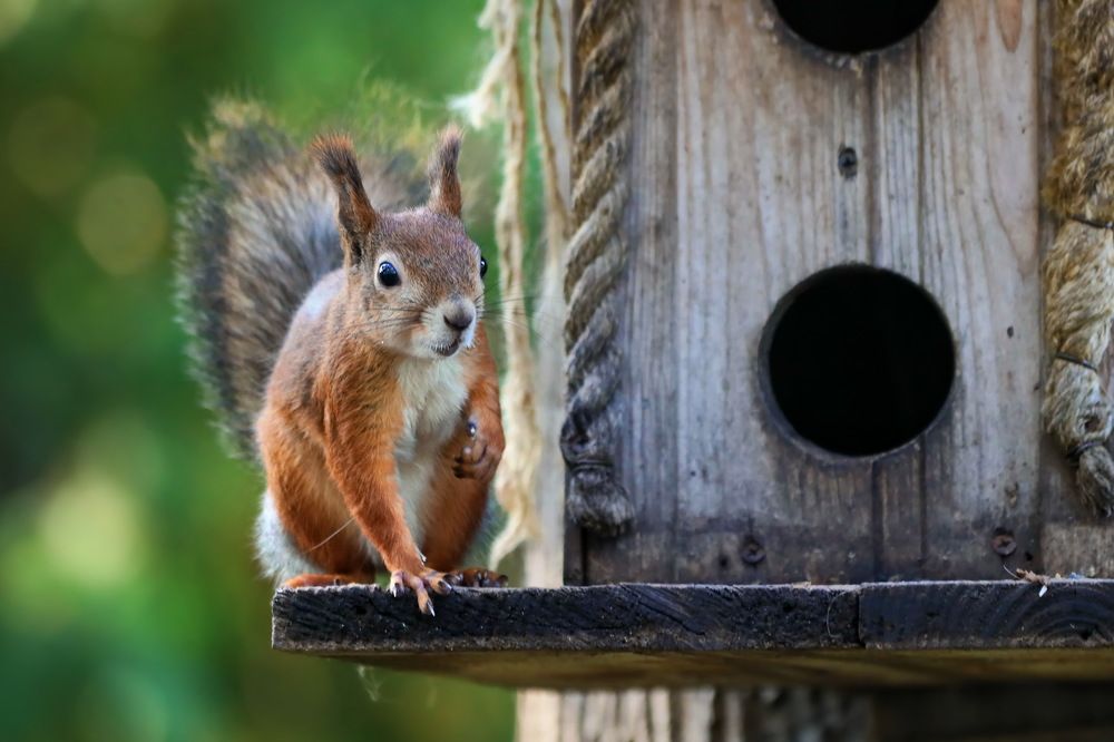 Photograph by Татьяна Бравая