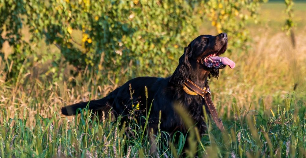 Photograph by Ольга Ченцова