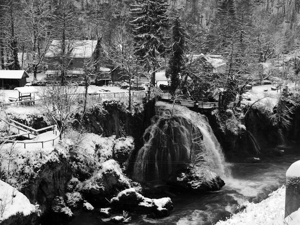 Фотография автора Dubravko Maricic