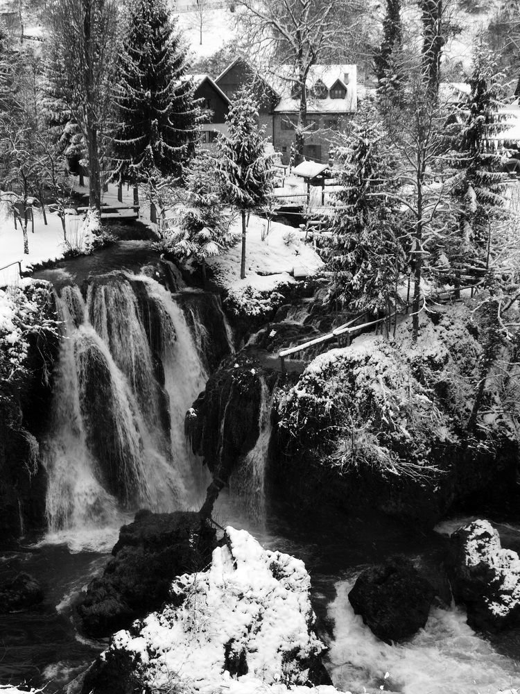 Фотография автора Dubravko Maricic