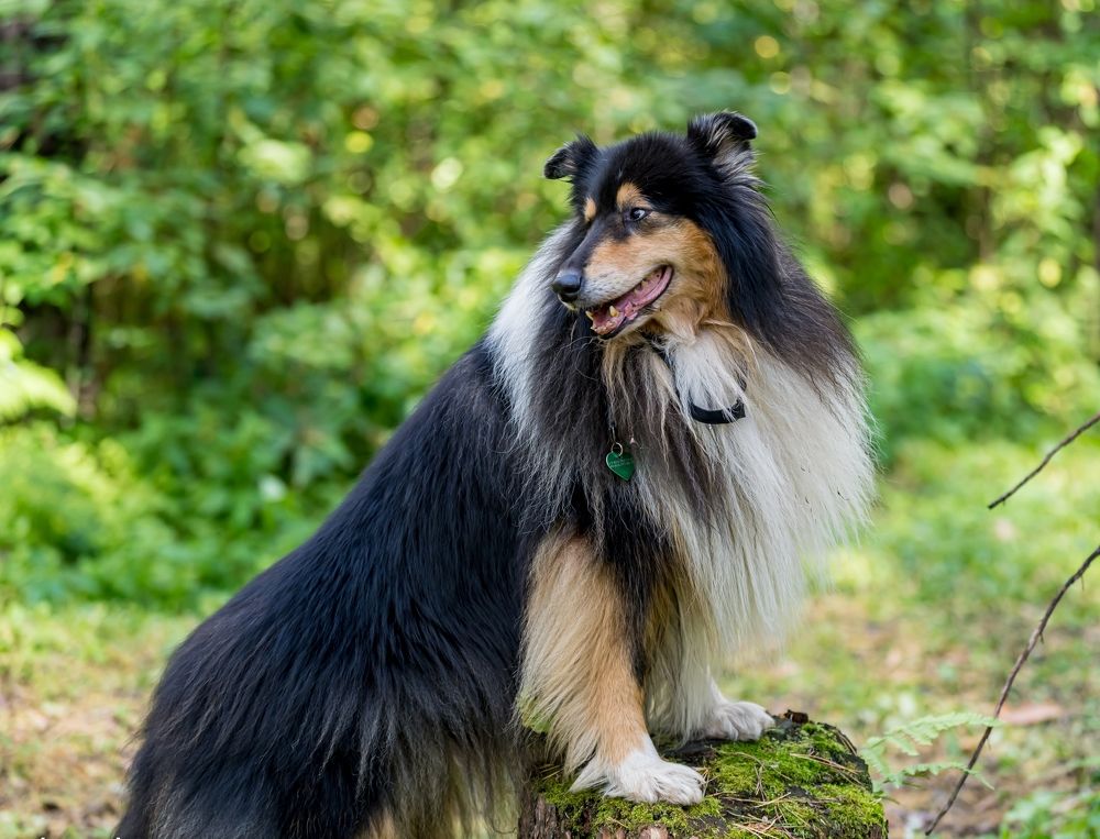 Photograph by Ольга Ченцова