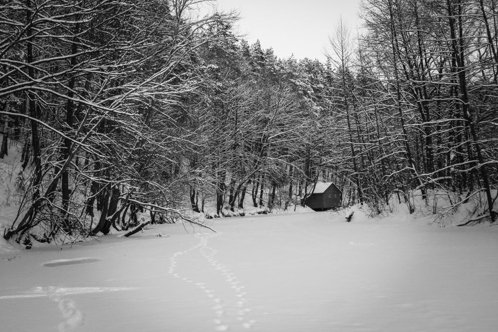 Photograph by Матвей Короткин