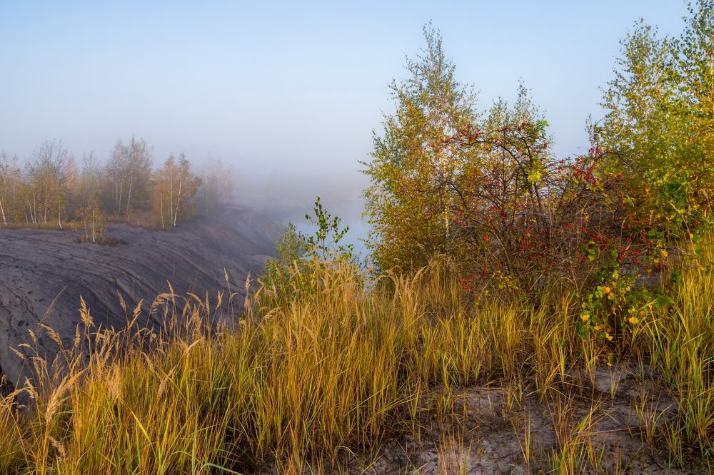 Туман как легкая вуаль
