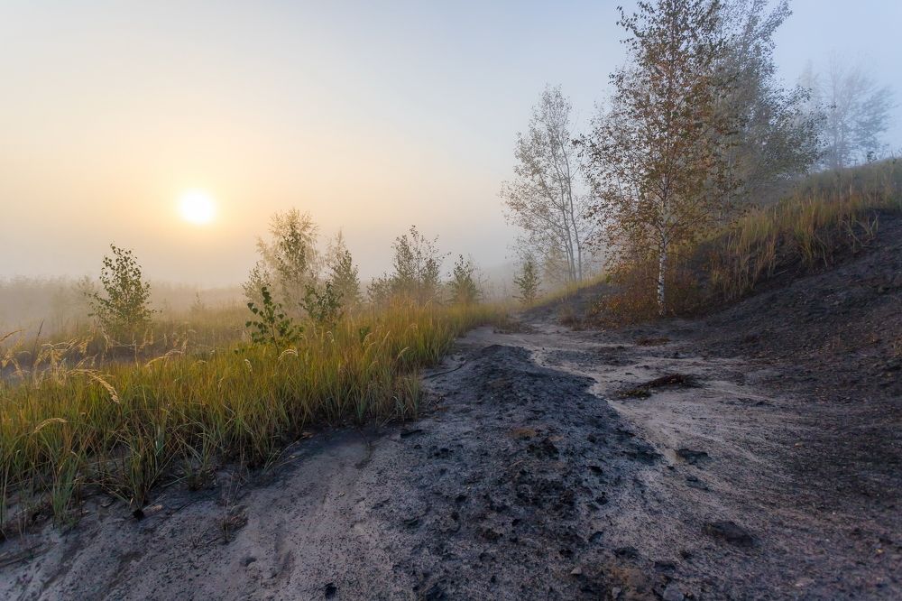 Утром туманным