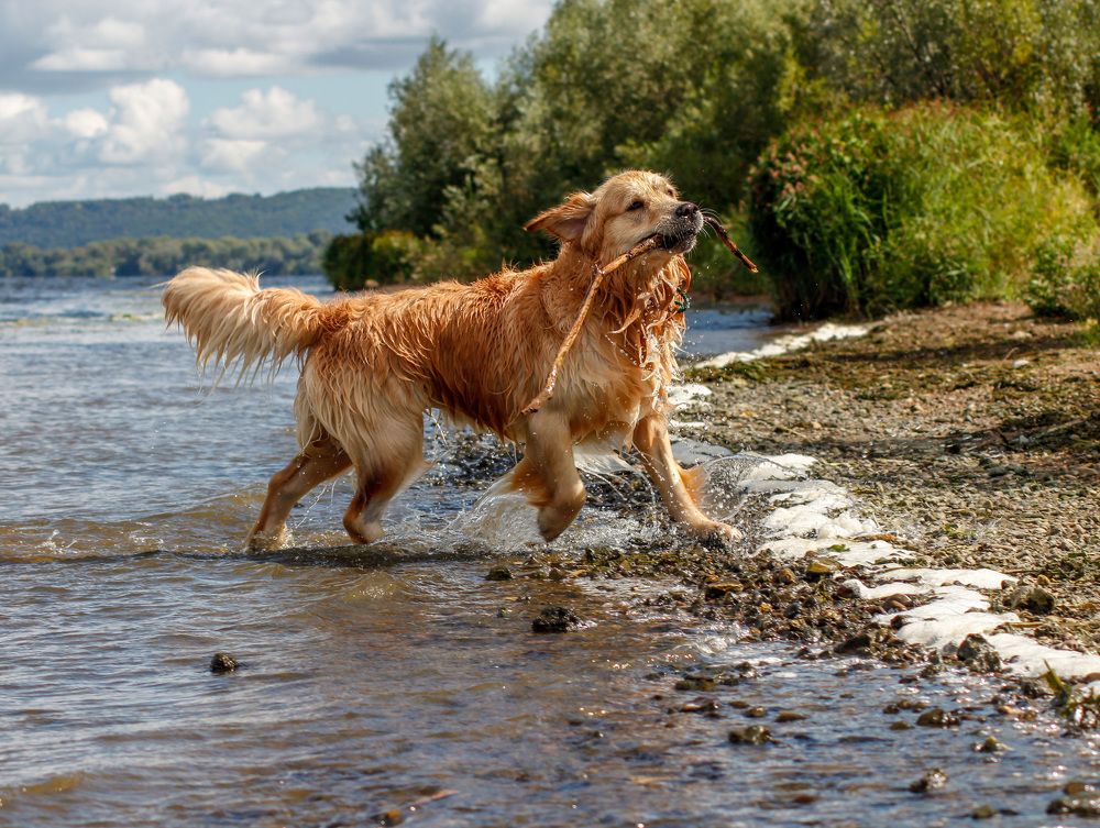 Photograph by Матвей Короткин