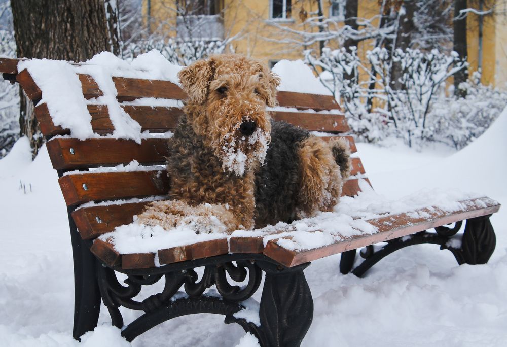 Photograph by Матвей Короткин