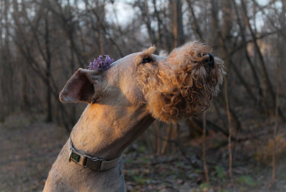 Photograph by Матвей Короткин