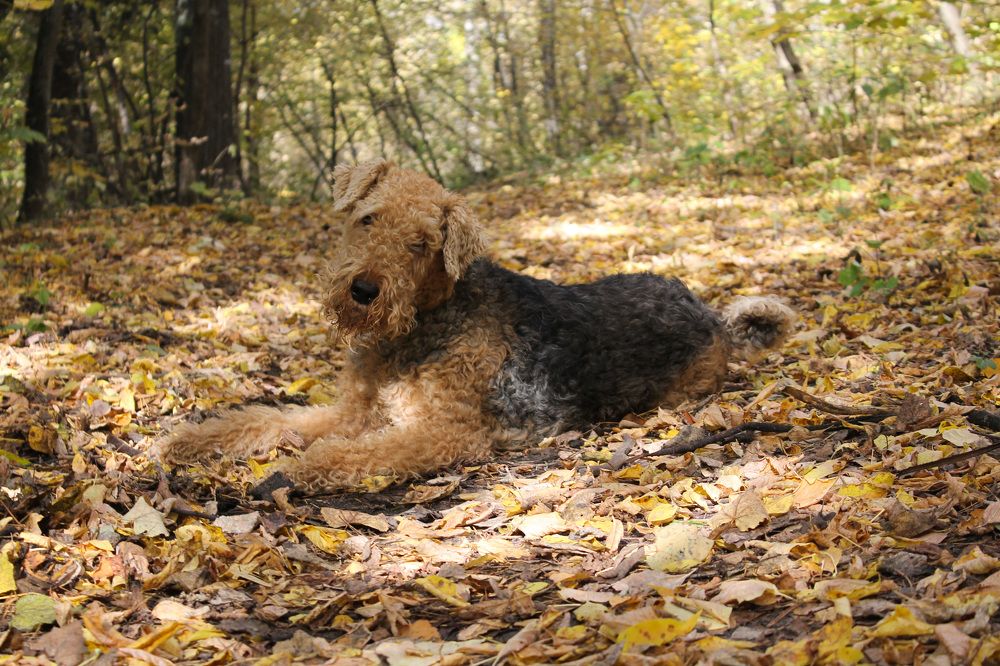 Photograph by Матвей Короткин