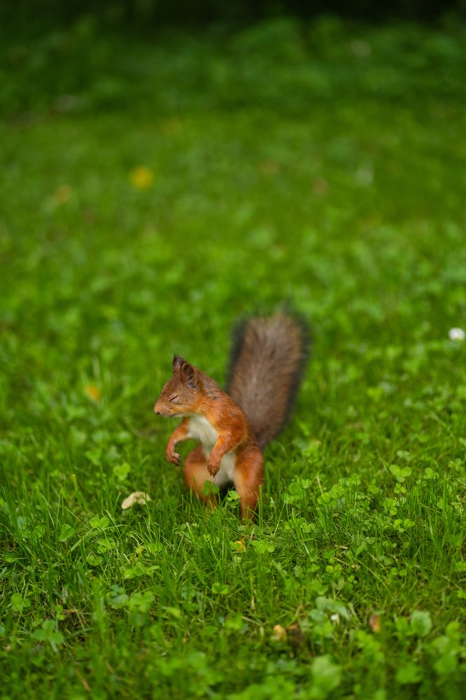 Photograph by Екатерина Панина