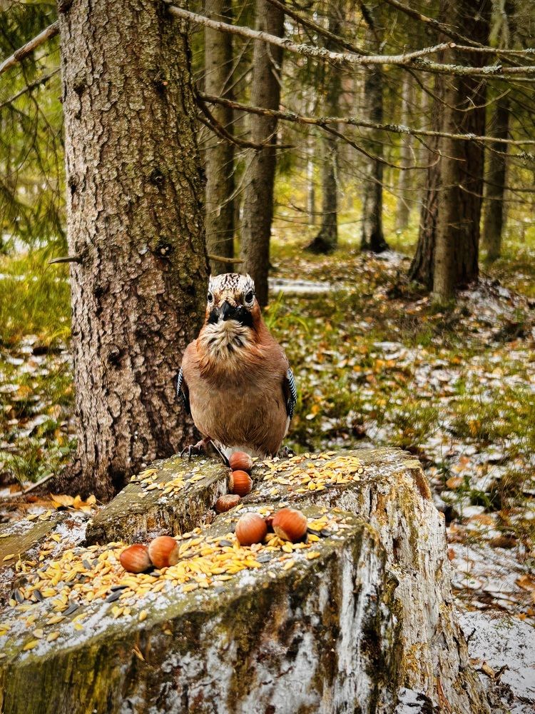 Photograph by Анна Куревина