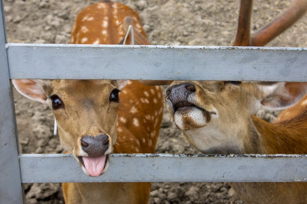 Photograph by Анна Шевляк