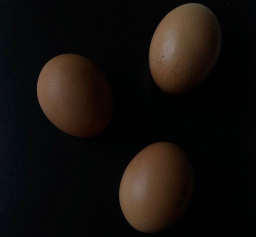 Photograph by Яна Цицилашвили