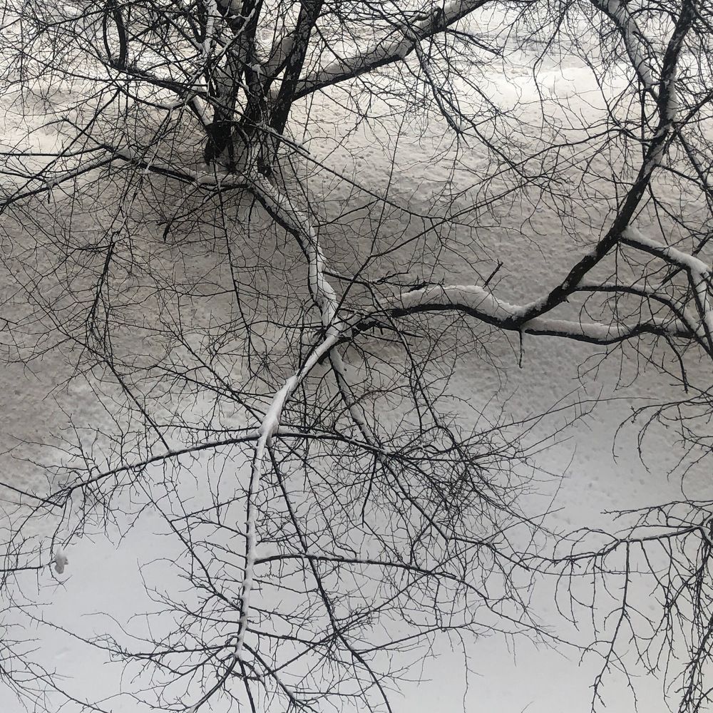 Photograph by Яна Цицилашвили