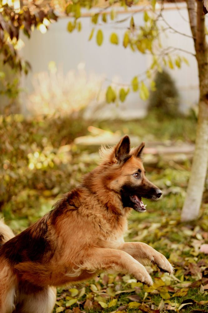 Photograph by Олеся Парфенова