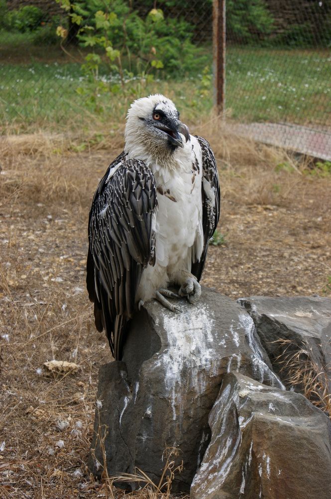 Photograph by Анна Шевляк