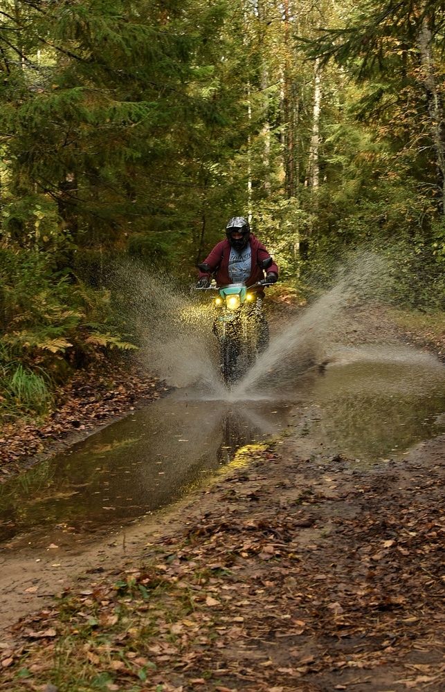 Photograph by Татьяна Абабкова