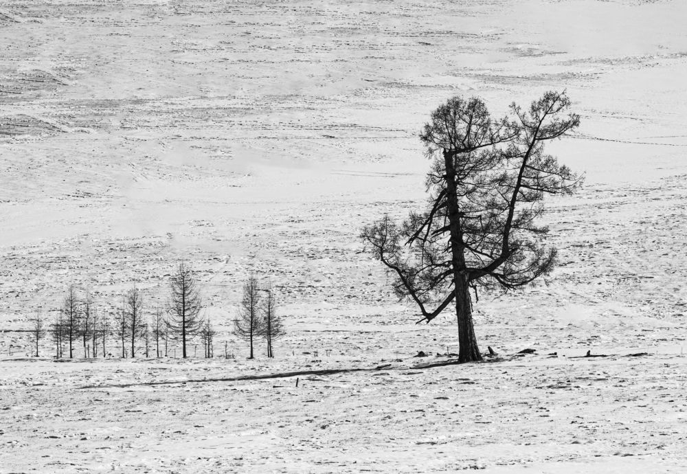 Photograph by Елена Павлова