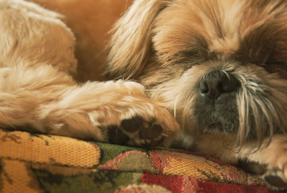 Photograph by Татьяна Петровская