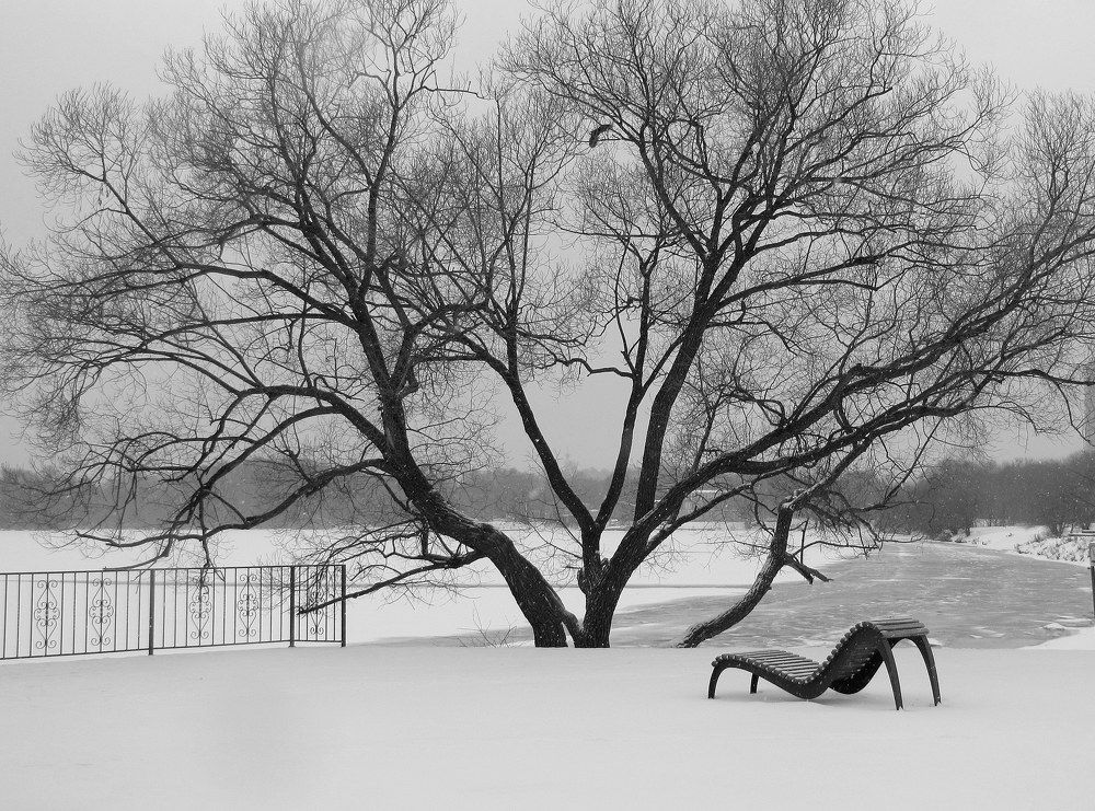 Photograph by Жанна Нечаева